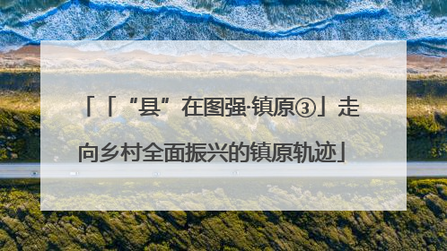 「“县”在图强·镇原③」走向乡村全面振兴的镇原轨迹