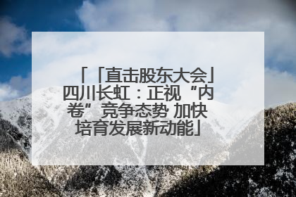 「直击股东大会」四川长虹：正视“内卷”竞争态势 加快培育发展新动能