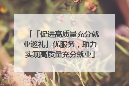「促进高质量充分就业巡礼」优服务，助力实现高质量充分就业