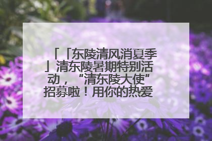 「东陵清风消夏季」清东陵暑期特别活动，“清东陵大使”招募啦！用你的热爱守护世界遗产！