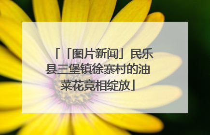 「图片新闻」民乐县三堡镇徐寨村的油菜花竞相绽放