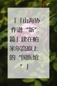 「山海协作谱“新”篇」建在帕米尔高原上的“国医馆”
