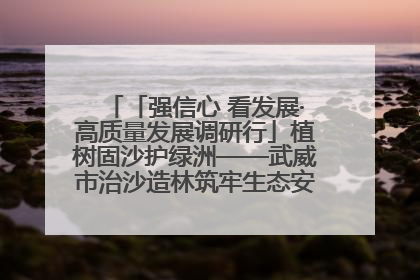 「强信心 看发展·高质量发展调研行」植树固沙护绿洲——武威市治沙造林筑牢生态安全屏障见闻