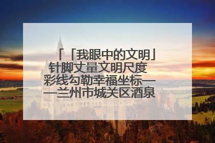 「我眼中的文明」针脚丈量文明尺度 彩线勾勒幸福坐标——兰州市城关区酒泉路街道办事处