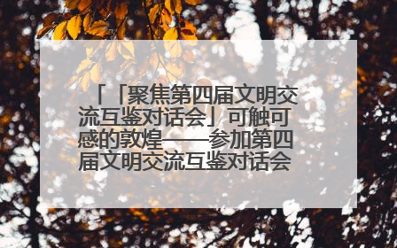 「聚焦第四届文明交流互鉴对话会」可触可感的敦煌——参加第四届文明交流互鉴对话会的外宾参观上元市集