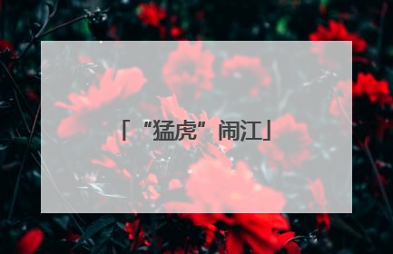 “猛虎”闹江