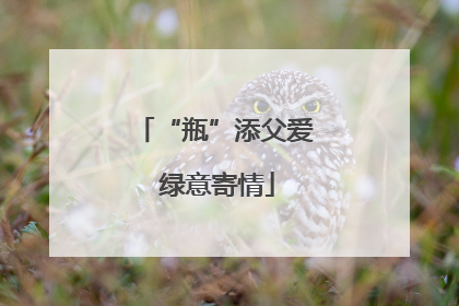“瓶”添父爱 绿意寄情