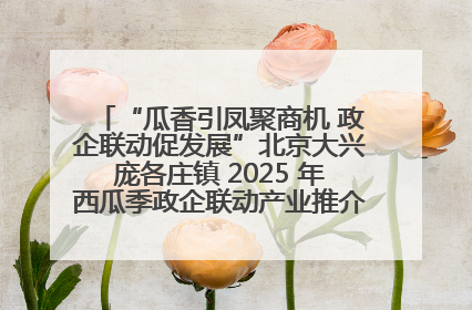 “瓜香引凤聚商机 政企联动促发展”北京大兴庞各庄镇 2025 年西瓜季政企联动产业推介活动圆满举行