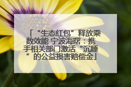 “生态红包”释放乘数效能 宁波海曙：携手相关部门激活“沉睡”的公益损害赔偿金