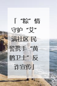 “粽”情守护“艾”满社区 民警携手“黄鹤卫士”反诈宣传