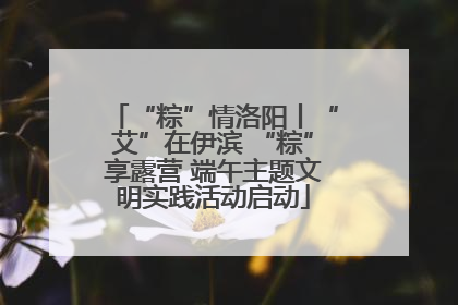 “粽”情洛阳丨“艾”在伊滨 “粽”享露营 端午主题文明实践活动启动