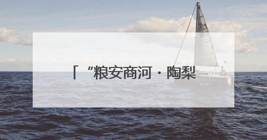 “粮安商河・陶梨留香”：三产融合赋能乡村振兴 跨村联建绘就共富画卷