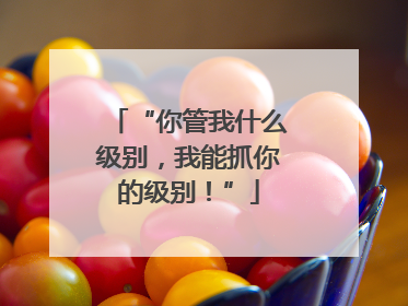 “你管我什么级别，我能抓你的级别！”