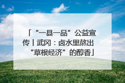“一县一品”公益宣传丨武冈：卤水里熬出“草根经济”的醇香