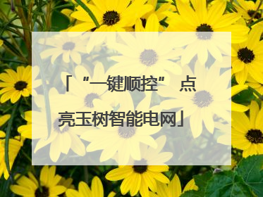 “一键顺控” 点亮玉树智能电网