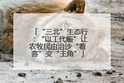 “三北”生态行：“以工代赈”让农牧民由治沙“看客”变“主角”