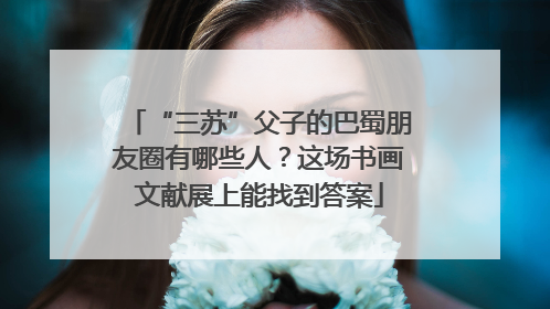 “三苏”父子的巴蜀朋友圈有哪些人？这场书画文献展上能找到答案