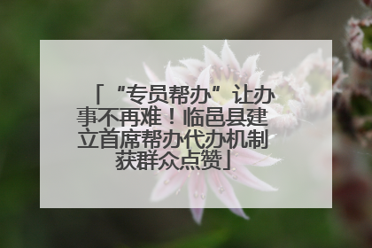 “专员帮办”让办事不再难！临邑县建立首席帮办代办机制获群众点赞