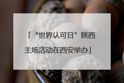 “世界认可日”陕西主场活动在西安举办