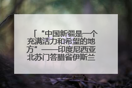 “中国新疆是一个充满活力和希望的地方”——印度尼西亚北苏门答腊省伊斯兰教代表团参访新疆