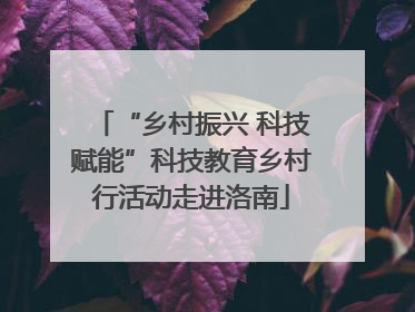 “乡村振兴 科技赋能”科技教育乡村行活动走进洛南