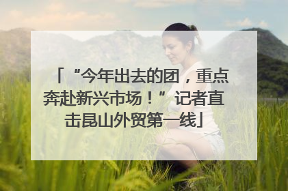“今年出去的团，重点奔赴新兴市场！”记者直击昆山外贸第一线