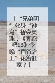 “兄弟团”化身“神鸟”智夺灵珠，《奔跑吧13》今晚“百谷之王”花落谁家？