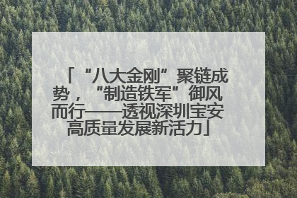 “八大金刚”聚链成势，“制造铁军”御风而行——透视深圳宝安高质量发展新活力