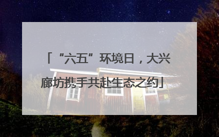 “六五”环境日，大兴廊坊携手共赴生态之约