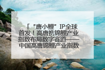 “唐小鲤”IP全球首发！高唐携锦鲤产业指数布局数字赛道——中国高唐锦鲤产业指数暨“唐小鲤”IP全球首发仪式在杭州举行