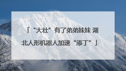 “大壮”有了弟弟妹妹 湖北人形机器人加速“添丁”