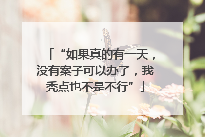 “如果真的有一天，没有案子可以办了，我秃点也不是不行”