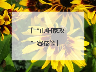 “巾帼家政”赛技能