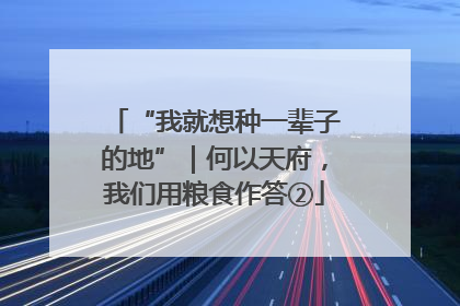 “我就想种一辈子的地”｜何以天府，我们用粮食作答②