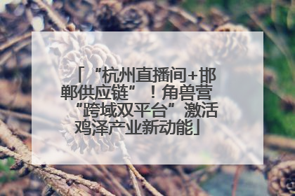 “杭州直播间+邯郸供应链”！角兽营“跨域双平台”激活鸡泽产业新动能