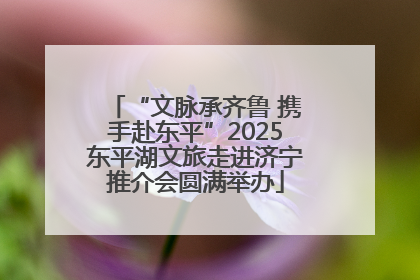 “文脉承齐鲁 携手赴东平”2025东平湖文旅走进济宁推介会圆满举办