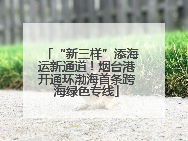 “新三样”添海运新通道！烟台港开通环渤海首条跨海绿色专线