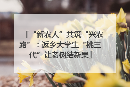“新农人”共筑“兴农路”：返乡大学生“桃三代”让老树结新果