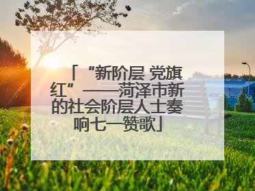 “新阶层 党旗红”——菏泽市新的社会阶层人士奏响七一赞歌