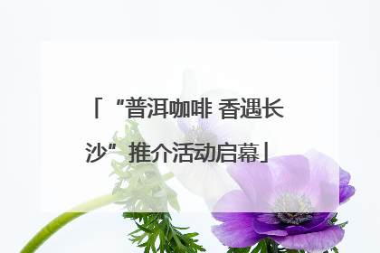 “普洱咖啡 香遇长沙”推介活动启幕