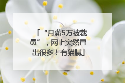 “月薪5万被裁员”，网上突然冒出很多！有猫腻