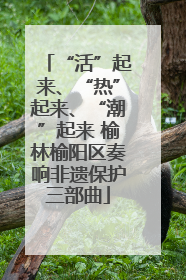 “活”起来、“热”起来、“潮”起来 榆林榆阳区奏响非遗保护三部曲