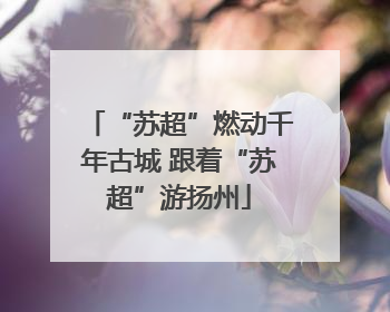 “苏超”燃动千年古城 跟着“苏超”游扬州