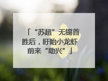 “苏超”无锡首胜后，盱眙小龙虾前来“助兴”