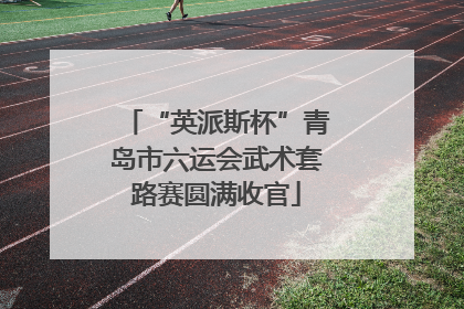 “英派斯杯”青岛市六运会武术套路赛圆满收官