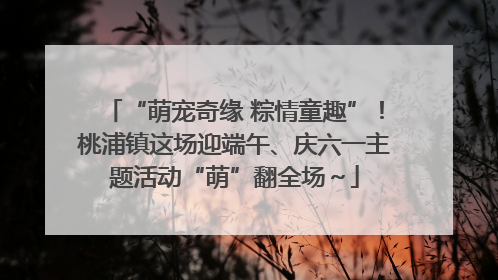 “萌宠奇缘 粽情童趣”！桃浦镇这场迎端午、庆六一主题活动“萌”翻全场～