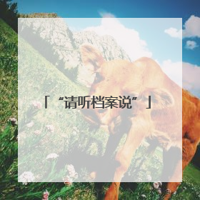 “请听档案说”