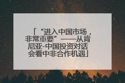“进入中国市场，非常重要”——从肯尼亚-中国投资对话会看中非合作机遇