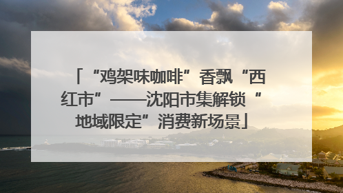 “鸡架味咖啡”香飘“西红市”——沈阳市集解锁“地域限定”消费新场景