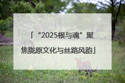 “2025根与魂”聚焦陇原文化与丝路风韵